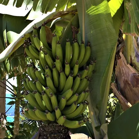 Gaia La Segunda Séjour à la campagne *