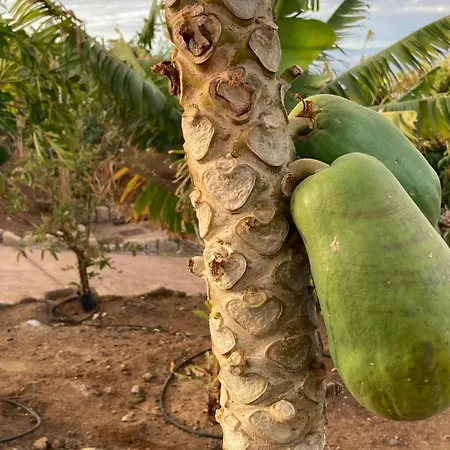 Séjour à la campagne Gaia La Segunda