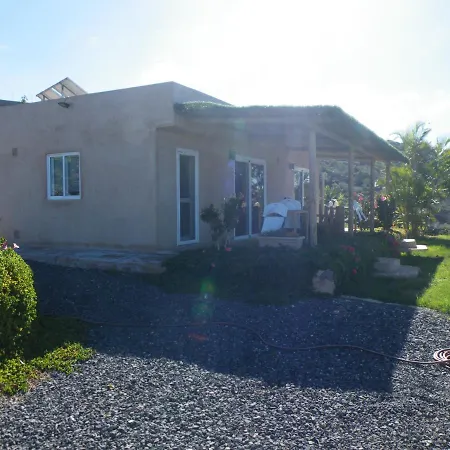 Gaia La Segunda * Guia de Isora (Tenerife)
