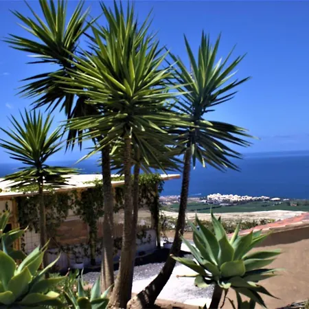 Gaia La Segunda Guia de Isora (Tenerife)