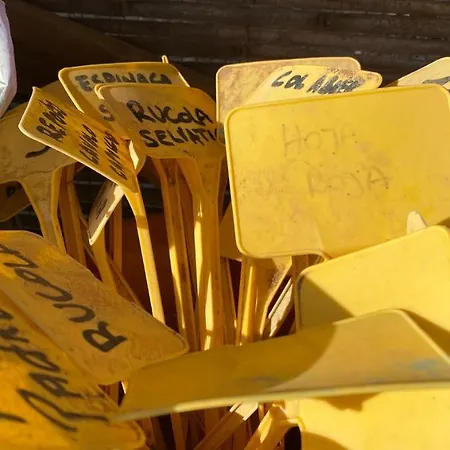 Hétvégi ház Gaia La Segunda