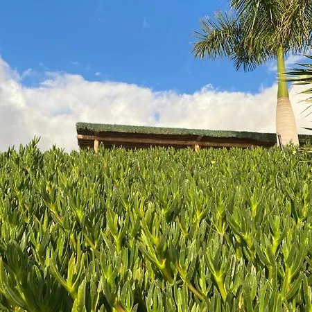 Gaia La Segunda Country house Guia de Isora (Tenerife)