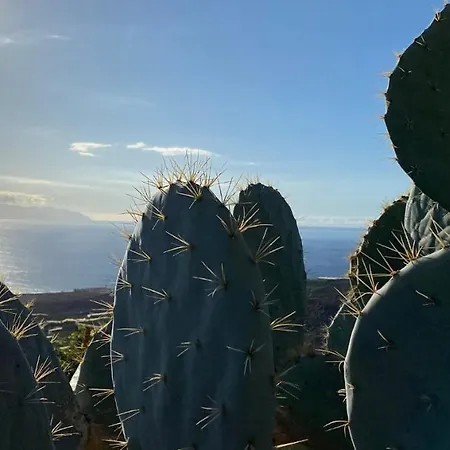 Gaia La Segunda * Guia de Isora (Tenerife)