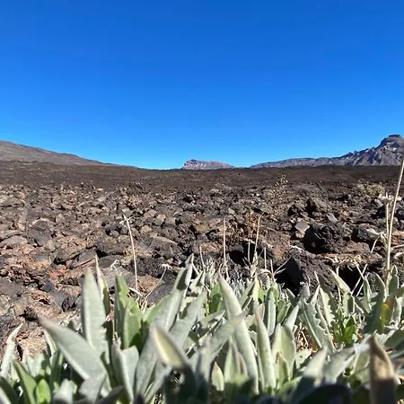 Gaia La Segunda *